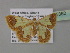  ( - BC ZSM Lep 35362)  @13 [ ] CreativeCommons - Attribution Non-Commercial Share-Alike (2010) Unspecified SNSB, Zoologische Staatssammlung Muenchen