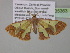  (Zamarada aglaeAH01Cm - BC ZSM Lep 35363)  @14 [ ] CreativeCommons - Attribution Non-Commercial Share-Alike (2010) Unspecified SNSB, Zoologische Staatssammlung Muenchen