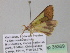  ( - BC ZSM Lep 35369)  @12 [ ] CreativeCommons - Attribution Non-Commercial Share-Alike (2010) Unspecified SNSB, Zoologische Staatssammlung Muenchen