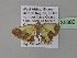  ( - BC ZSM Lep 35380)  @13 [ ] CreativeCommons - Attribution Non-Commercial Share-Alike (2010) Unspecified SNSB, Zoologische Staatssammlung Muenchen