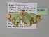  (Zamarada episemaAH01Gh - BC ZSM Lep 35386)  @13 [ ] CreativeCommons - Attribution Non-Commercial Share-Alike (2010) Unspecified SNSB, Zoologische Staatssammlung Muenchen
