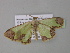  ( - BC ZSM Lep 35395)  @13 [ ] CreativeCommons - Attribution Non-Commercial Share-Alike (2010) Unspecified SNSB, Zoologische Staatssammlung Muenchen