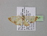  ( - BC ZSM Lep 35397)  @12 [ ] CreativeCommons - Attribution Non-Commercial Share-Alike (2010) Unspecified SNSB, Zoologische Staatssammlung Muenchen