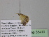  ( - BC ZSM Lep 35415)  @12 [ ] CreativeCommons - Attribution Non-Commercial Share-Alike (2010) Unspecified SNSB, Zoologische Staatssammlung Muenchen