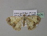  ( - BC ZSM Lep 35426)  @13 [ ] CreativeCommons - Attribution Non-Commercial Share-Alike (2010) Unspecified SNSB, Zoologische Staatssammlung Muenchen