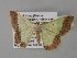  ( - BC ZSM Lep 35433)  @13 [ ] CreativeCommons - Attribution Non-Commercial Share-Alike (2010) Unspecified SNSB, Zoologische Staatssammlung Muenchen