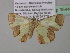  ( - BC ZSM Lep 35449)  @13 [ ] CreativeCommons - Attribution Non-Commercial Share-Alike (2010) Unspecified SNSB, Zoologische Staatssammlung Muenchen