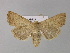  ( - BC ZSM Lep 30999)  @13 [ ] CreativeCommons - Attribution Non-Commercial Share-Alike (2010) Unspecified SNSB, Zoologische Staatssammlung Muenchen