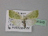  ( - BC ZSM Lep 31049)  @13 [ ] CreativeCommons - Attribution Non-Commercial Share-Alike (2010) Unspecified SNSB, Zoologische Staatssammlung Muenchen
