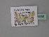  ( - BC ZSM Lep 31093)  @13 [ ] CreativeCommons - Attribution Non-Commercial Share-Alike (2010) Unspecified SNSB, Zoologische Staatssammlung Muenchen