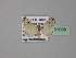  ( - BC ZSM Lep 31098)  @13 [ ] CreativeCommons - Attribution Non-Commercial Share-Alike (2010) Unspecified SNSB, Zoologische Staatssammlung Muenchen