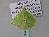  ( - BC ZSM Lep 33028)  @13 [ ] CreativeCommons - Attribution Non-Commercial Share-Alike (2010) Unspecified SNSB, Zoologische Staatssammlung Muenchen