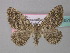  ( - BC ZSM Lep 34351)  @13 [ ] CreativeCommons - Attribution Non-Commercial Share-Alike (2010) Unspecified SNSB, Zoologische Staatssammlung Muenchen