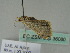  ( - BC ZSM Lep 36080)  @12 [ ] CreativeCommons - Attribution Non-Commercial Share-Alike (2010) Unspecified SNSB, Zoologische Staatssammlung Muenchen
