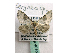  (Cerynea GB01 - BC ZSM Lep 40106)  @14 [ ] CreativeCommons - Attribution Non-Commercial Share-Alike (2010) Axel Hausmann/Bavarian State Collection of Zoology (ZSM) SNSB, Zoologische Staatssammlung Muenchen
