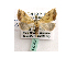  ( - BC ZSM Lep 40123)  @13 [ ] CreativeCommons - Attribution Non-Commercial Share-Alike (2010) Axel Hausmann/Bavarian State Collection of Zoology (ZSM) SNSB, Zoologische Staatssammlung Muenchen