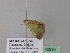  ( - BC ZSM Lep 40994)  @12 [ ] CreativeCommons - Attribution Non-Commercial Share-Alike (2010) Axel Hausmann/Bavarian State Collection of Zoology (ZSM) SNSB, Zoologische Staatssammlung Muenchen