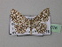  ( - BC ZSM Lep 43076)  @13 [ ] CreativeCommons - Attribution Non-Commercial Share-Alike (2010) Axel Hausmann/Bavarian State Collection of Zoology (ZSM) SNSB, Zoologische Staatssammlung Muenchen