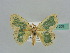  (Bathycolpodes AH01Ke - BC ZSM Lep 41209)  @13 [ ] CreativeCommons - Attribution Non-Commercial Share-Alike (2010) Axel Hausmann/Bavarian State Collection of Zoology (ZSM) SNSB, Zoologische Staatssammlung Muenchen
