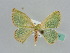  ( - BC ZSM Lep 41214)  @14 [ ] CreativeCommons - Attribution Non-Commercial Share-Alike (2010) Axel Hausmann/Bavarian State Collection of Zoology (ZSM) SNSB, Zoologische Staatssammlung Muenchen