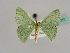  (Comibaena BOLD:AAP1980 - BC ZSM Lep 41215)  @14 [ ] CreativeCommons - Attribution Non-Commercial Share-Alike (2010) Axel Hausmann/Bavarian State Collection of Zoology (ZSM) SNSB, Zoologische Staatssammlung Muenchen