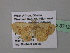  ( - BC ZSM Lep 37126)  @12 [ ] CreativeCommons - Attribution Non-Commercial Share-Alike (2010) Axel Hausmann/Bavarian State Collection of Zoology (ZSM) SNSB, Zoologische Staatssammlung Muenchen