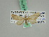  ( - BC ZSM Lep 45771)  @11 [ ] CreativeCommons - Attribution Non-Commercial Share-Alike (2010) Axel Hausmann/Bavarian State Collection of Zoology (ZSM) SNSB, Zoologische Staatssammlung Muenchen