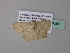  ( - BC ZSM Lep 34268)  @13 [ ] CreativeCommons - Attribution Non-Commercial Share-Alike (2010) Axel Hausmann/Bavarian State Collection of Zoology (ZSM) SNSB, Zoologische Staatssammlung Muenchen