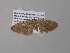  ( - BC ZSM Lep 34328)  @12 [ ] CreativeCommons - Attribution Non-Commercial Share-Alike (2010) Axel Hausmann/Bavarian State Collection of Zoology (ZSM) SNSB, Zoologische Staatssammlung Muenchen