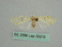  ( - BC ZSM Lep 36015)  @12 [ ] CreativeCommons - Attribution Non-Commercial Share-Alike (2010) Axel Hausmann/Bavarian State Collection of Zoology (ZSM) SNSB, Zoologische Staatssammlung Muenchen
