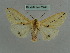  ( - BC ZSM Lep 36041)  @12 [ ] CreativeCommons - Attribution Non-Commercial Share-Alike (2010) Axel Hausmann/Bavarian State Collection of Zoology (ZSM) SNSB, Zoologische Staatssammlung Muenchen