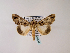  ( - BC ZSM Lep 48540)  @13 [ ] CreativeCommons - Attribution Non-Commercial Share-Alike (2010) Axel Hausmann/Bavarian State Collection of Zoology (ZSM) SNSB, Zoologische Staatssammlung Muenchen