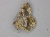  ( - BC ZSM Lep 49304)  @12 [ ] CreativeCommons - Attribution Non-Commercial Share-Alike (2010) Axel Hausmann/Bavarian State Collection of Zoology (ZSM) SNSB, Zoologische Staatssammlung Muenchen