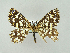  ( - RCIM 0007)  @13 [ ] Copyright (2010) Iva Mihoci Croatian Natural History Museum