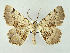  ( - RCIM 0009)  @14 [ ] Copyright (2010) Iva Mihoci Croatian Natural History Museum
