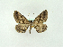  ( - RCIM 0010)  @13 [ ] Copyright (2010) Iva Mihoci Croatian Natural History Museum