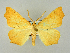 ( - RCIM 0015)  @13 [ ] Copyright (2010) Iva Mihoci Croatian Natural History Museum