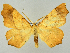  ( - RCIM 0016)  @14 [ ] Copyright (2010) Iva Mihoci Croatian Natural History Museum