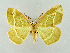  ( - RCIM 0046)  @14 [ ] Copyright (2010) Iva Mihoci Croatian Natural History Museum