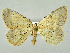  ( - RCIM 0052)  @12 [ ] Copyright (2010) Iva Mihoci Croatian Natural History Museum
