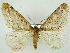  ( - RCIM 0060)  @11 [ ] Copyright (2010) Iva Mihoci Croatian Natural History Museum