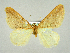  ( - RCIM 0061)  @12 [ ] Copyright (2010) Iva Mihoci Croatian Natural History Museum