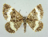  ( - RCIM 0125)  @14 [ ] Copyright (2010) Iva Mihoci Croatian Natural History Museum