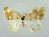  ( - RCIM 0132)  @12 [ ] Copyright (2010) Iva Mihoci Croatian Natural History Museum