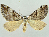  ( - RCIM 0139)  @13 [ ] Copyright (2010) Iva Mihoci Croatian Natural History Museum