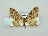  ( - RCIM 0146)  @13 [ ] Copyright (2010) Iva Mihoci Croatian Natural History Museum
