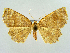  ( - RCIM 0168)  @13 [ ] Copyright (2010) Iva Mihoci Croatian Natural History Museum