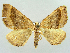  ( - RCIM 0182)  @13 [ ] Copyright (2010) Iva Mihoci Croatian Natural History Museum