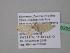  ( - BC ZSM Lep 39395)  @12 [ ] CreativeCommons - Attribution Non-Commercial Share-Alike (2010) Axel Hausmann/Bavarian State Collection of Zoology (ZSM) SNSB, Zoologische Staatssammlung Muenchen