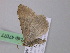  ( - BC ZSM Lep 47077)  @12 [ ] CreativeCommons - Attribution Non-Commercial Share-Alike (2010) Axel Hausmann/Bavarian State Collection of Zoology (ZSM) SNSB, Zoologische Staatssammlung Muenchen